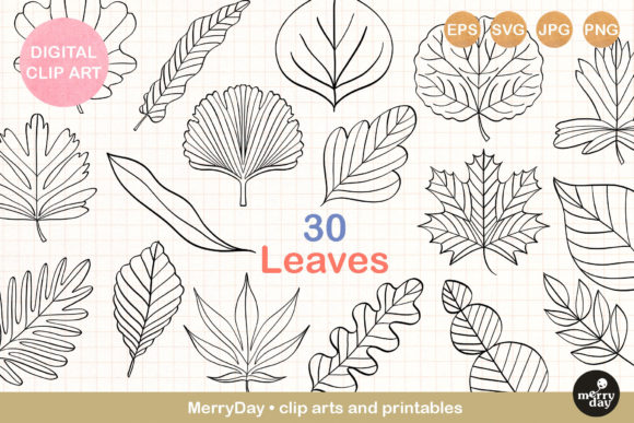 30 Leaves Illustration Clip Art for Branding and Marketing