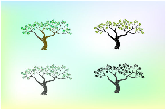 Olive and Acacia Tree Graphics