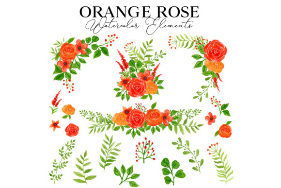 Orange Rose Watercolor Elements Review